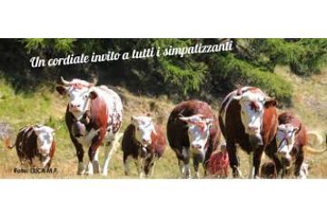 Fiera Autunnale del 12 Novembre 2022